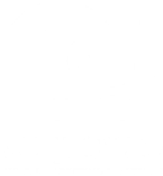 Ad Holic — Digital Marketing Solutions