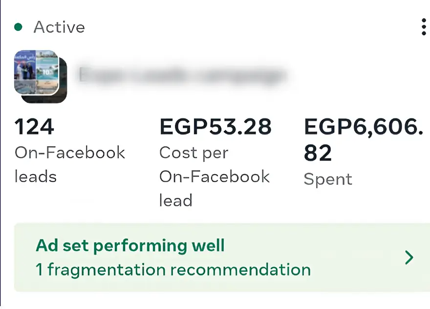 Ads Manager: 124 on-Facebook leads at EGP53.28, ad set flagged as performing well.
