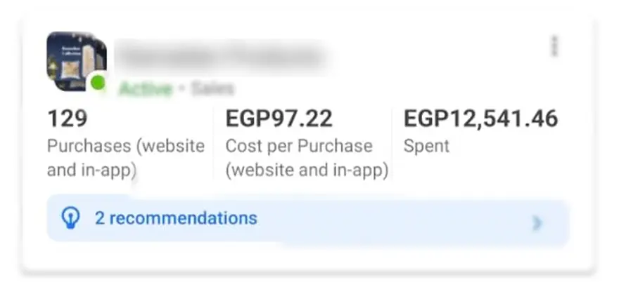 Ads Manager: 129 purchases at EGP97.22 from EGP12,541 of spend.