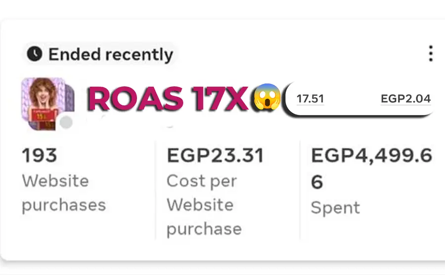 Ads Manager: 17x return on ad spend, 193 website purchases at EGP23.31.